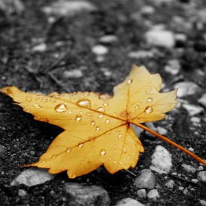 国产抖音走光视频
